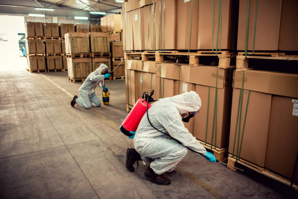 Reliable Atlantic Beach, FL Pest Control Solutions