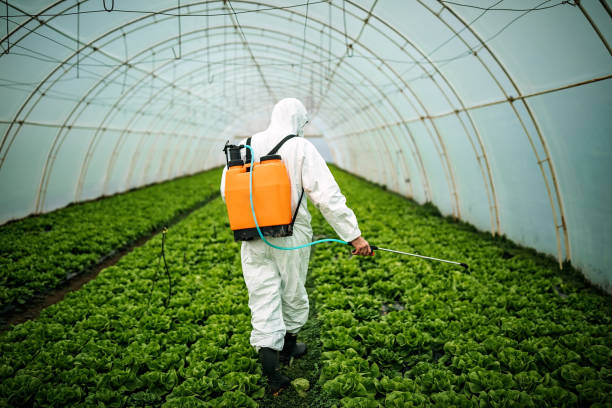 Best Best Pest Control Near Me  in Atlantic Beach, FL