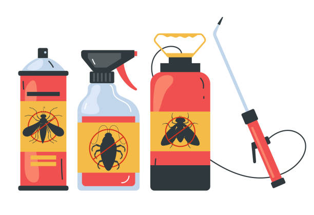 Best Spider Control Near Me  in Atlantic Beach, FL