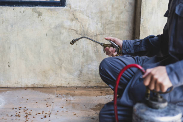 Best Pest Removal Services  in Atlantic Beach, FL